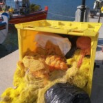 Ropes and fishing nets in the recycling bin.